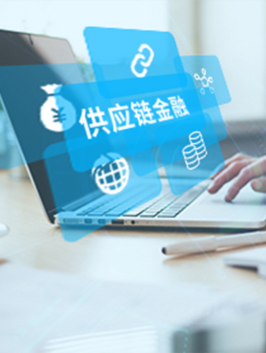 供应链金融平台-湖南k8凯发一触即发科技_软件开发_网站建设_网络推广_视觉设计